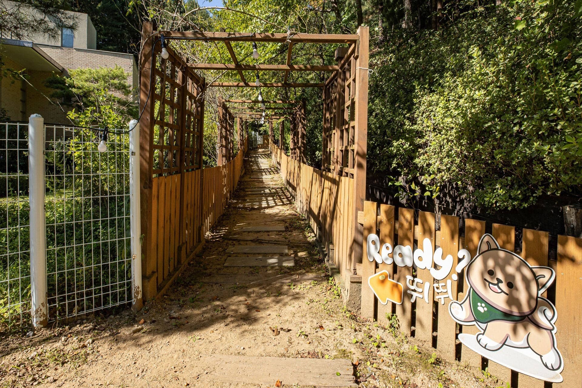 GLAMDOG 청평점 gallery 5